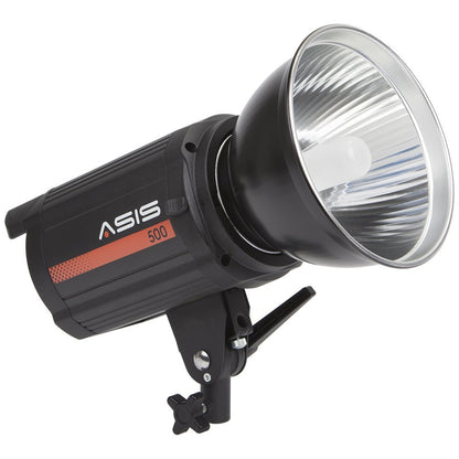 Asis 500 Monolight 2-Head Umbrella/Softbox Kit