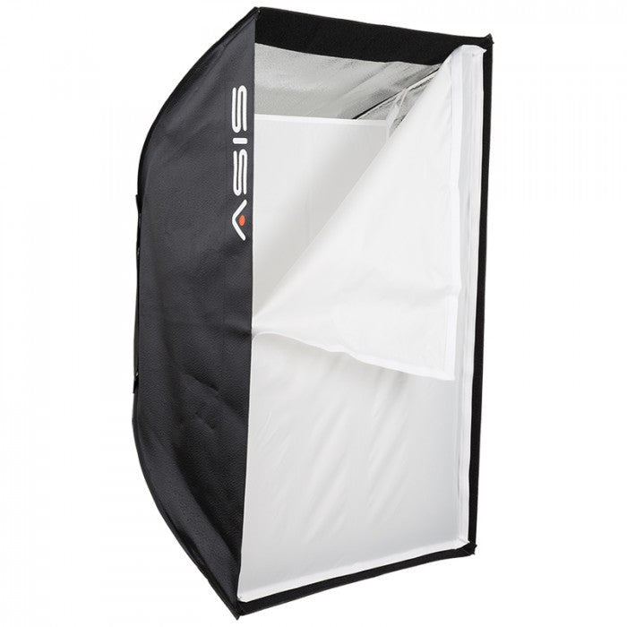 Asis 500 Monolight 2-Head Umbrella/Softbox Kit